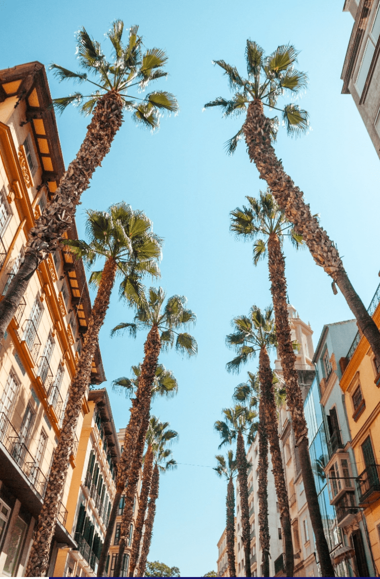 sale properties in malaga