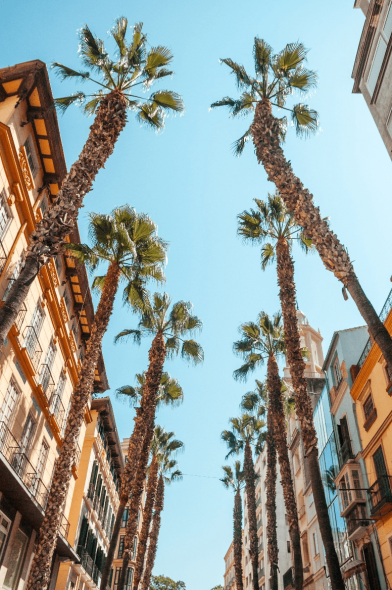 sale properties in malaga